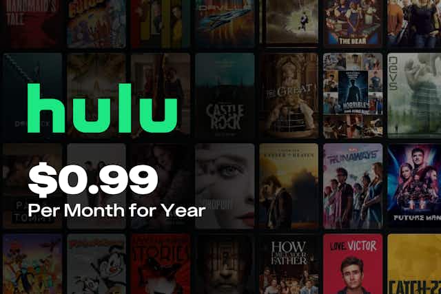 Hulu Black Friday Deal: $0.99/Month for 1 Year (Add Disney+ for an Extra $2/Month) card image