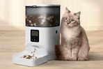 Automatic Cat Feeder