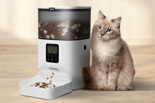 Automatic Cat Feeder