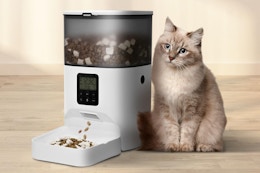 Automatic Cat Feeder