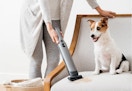 Shark Cordless Handheld Vacuum