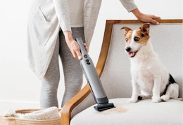 Shark Cordless Handheld Vacuum