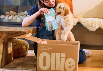 Ollie Dog Food Box + Free Treats