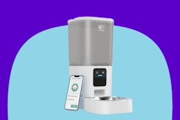 Automatic 7-Liter Pet Feeder, Only $27 on Amazon card image