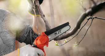 Saker Mini Chainsaw, Only $39.99 on  (Reg. $80) - The Krazy Coupon  Lady