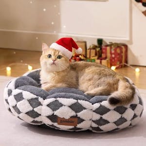 Plush Donut Cat Bed