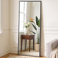 Full-Length Mirror