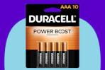 Duracell AAA Batteries