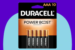 Duracell AAA Batteries