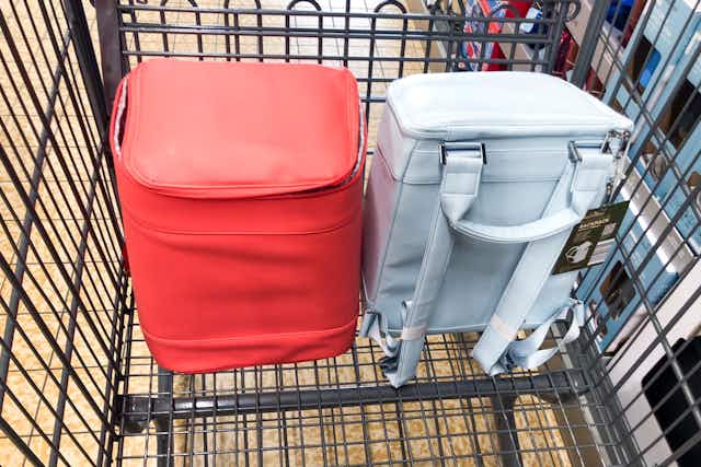 Corkcicle-Inspired Cooler Backpack, Just $25 at Aldi — Plus More Carriers card image