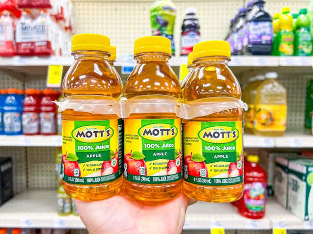 Mott's Fruit Snacks 10-Pack, as Low as $1.49 at CVS card image