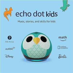 Amazon Echo Dot Owl