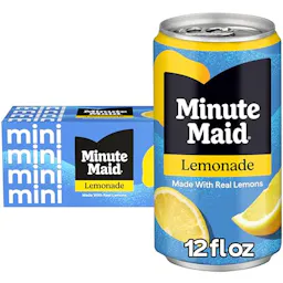 Minute Maid Lemonade 10-Pack