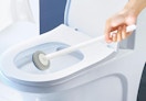 a person cleaning a toilet with a toilet brush