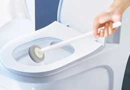 a person cleaning a toilet with a toilet brush
