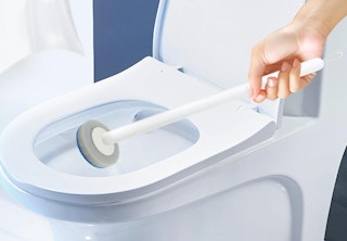 a person cleaning a toilet with a toilet brush