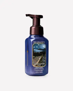 Bath & Body Works Foaming Hand Soap