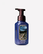 Bath & Body Works Foaming Hand Soap