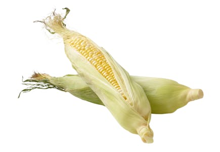 Sweet Corn