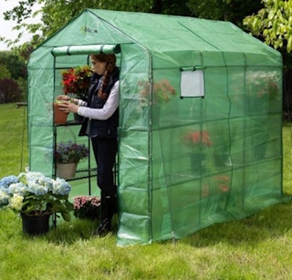 greenhouse outside with plants