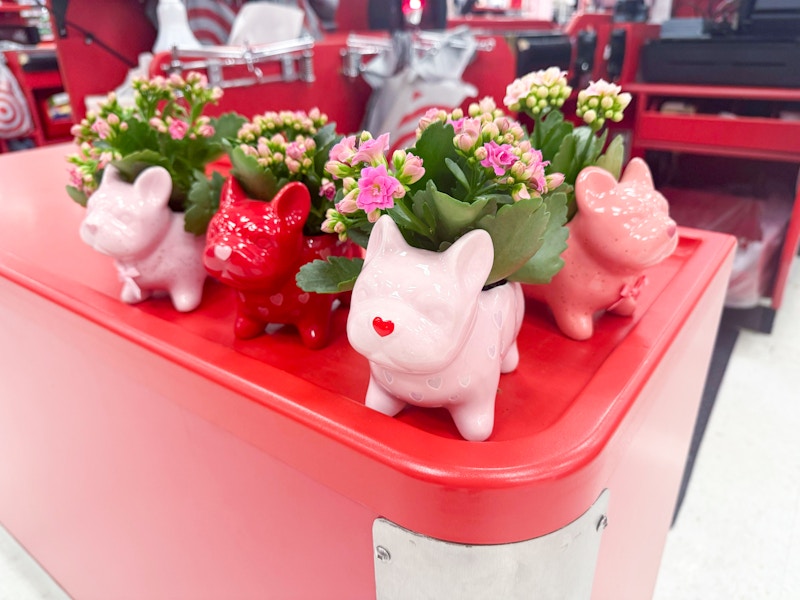 valentine's day frenchie planters on target counter