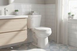home depot tall toilet