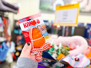 kong-aqua-dog-toy-1
