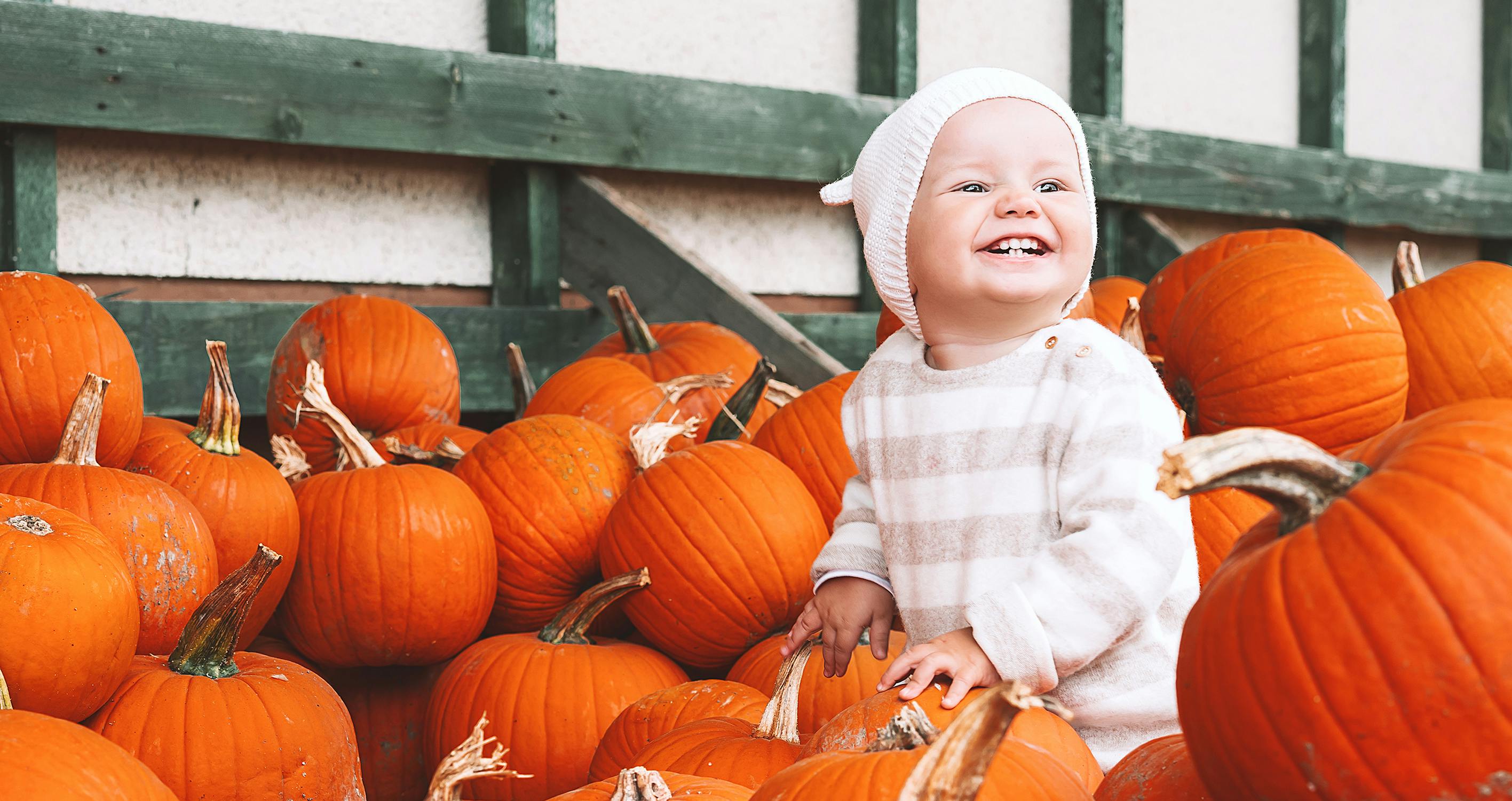 The Most Affordable Pumpkin Patch in Every State