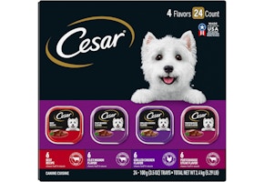 Cesar Wet Dog Food
