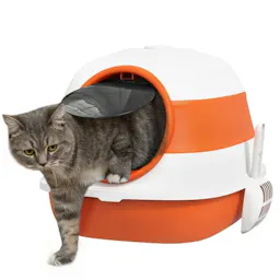 Cat Litter Box