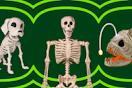 Wayfair Skeleton Themed Decor
