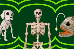 Wayfair Skeleton Themed Decor