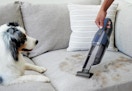 Shark Pet Handheld Vacuum