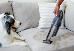 Shark Pet Handheld Vacuum