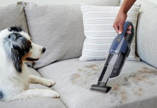 Shark Pet Handheld Vacuum
