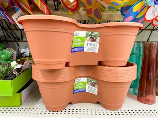 planter dollar tree 2022 1 1648489651 1648489652