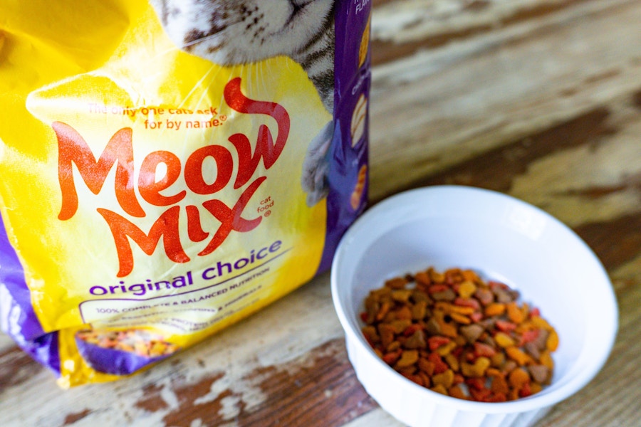 amazon-pet-day-meow-mix-cat-food-14