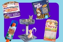 Amazon Deals Pet Parents Will Love: Treats, Toys, Furniture, and More card image
