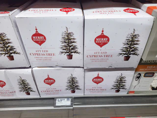 aldi-finds-25