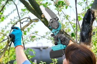 A lady using the blue 6-inch mini electric chainsaw, cutting off a tree branch 