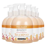 Shampoo 6-Pack