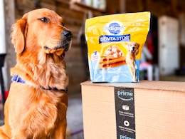 Pedigree Dentastix Large Dog Treats, as Low as $4.49 on Amazon card image