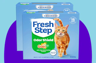 cat litter in two boxes