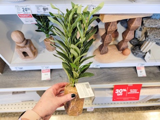 hand holding an aquarium decor plant