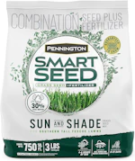Tall Fescue Grass Seed
