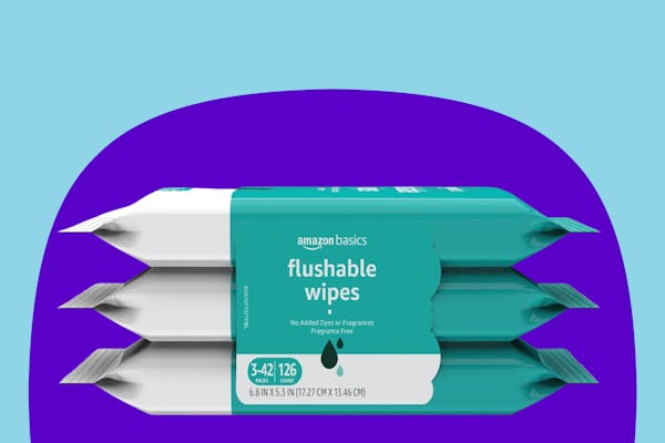Amazon Basics Flushable Wipes 3-Pack, Now Only $3.11