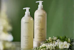 Aveda Shampoo and Conditioner