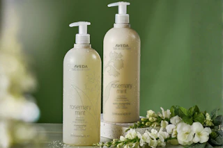 Aveda Shampoo and Conditioner