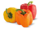 Multicolored Pepper Pack