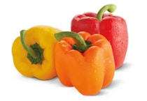 Multicolored Peppers